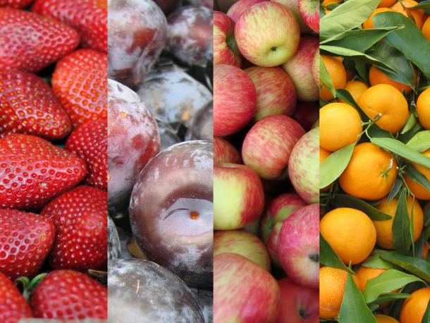 Seasonal Fruit Chart